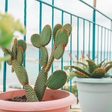 Coastal Bliss * Himarë