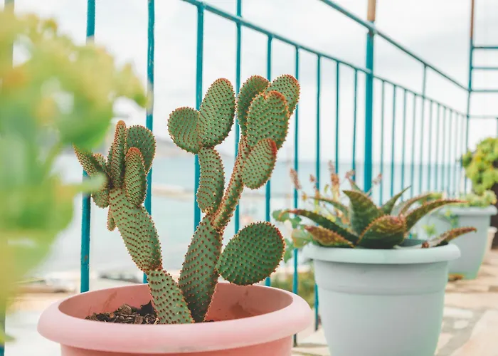 Coastal Bliss * Himara